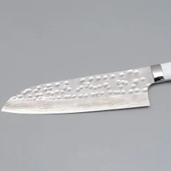 Takeshi Saji SRS13 Corian Santoku