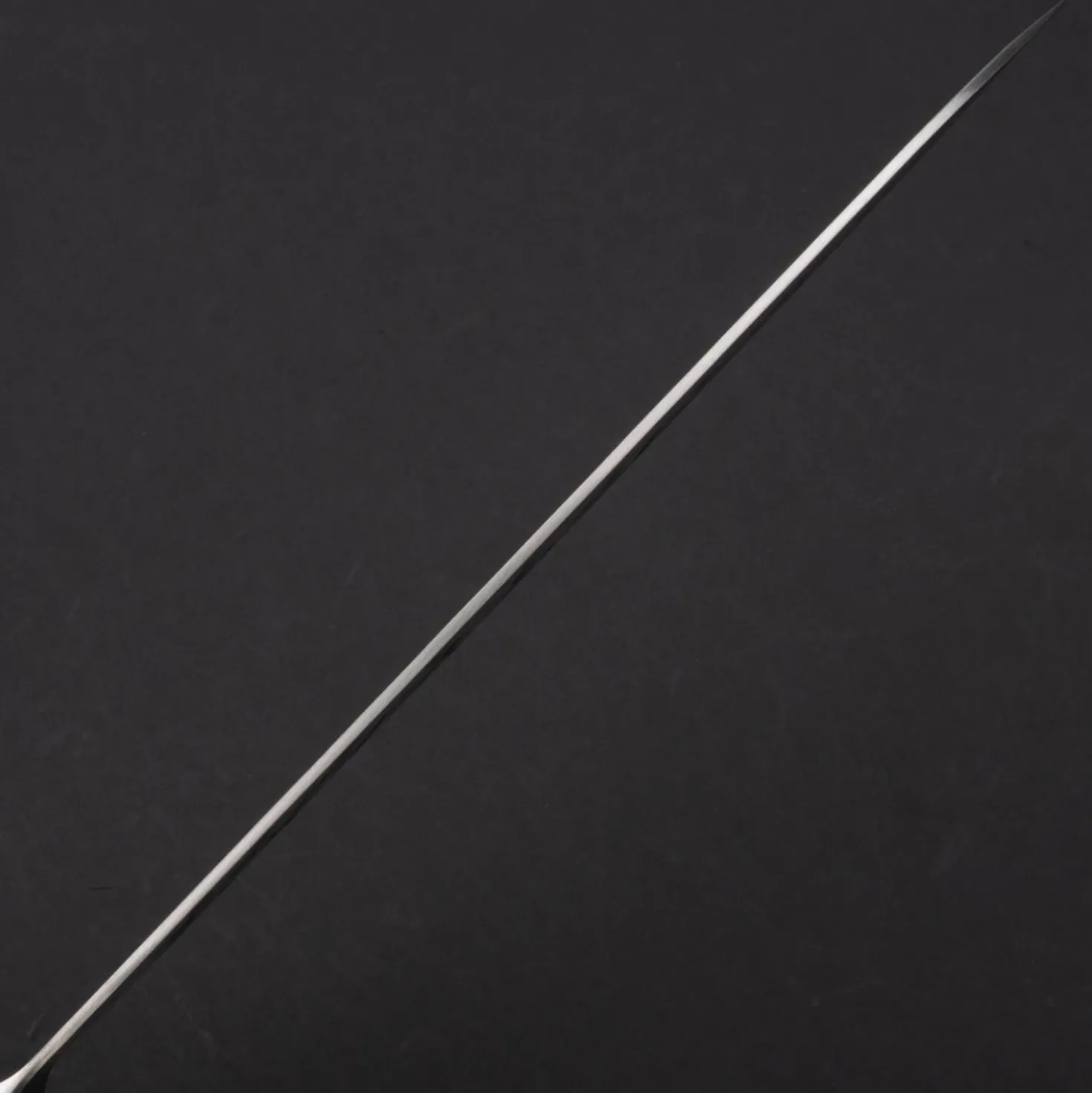 Takeshi Saji SRS13 Gyuto 24 cm