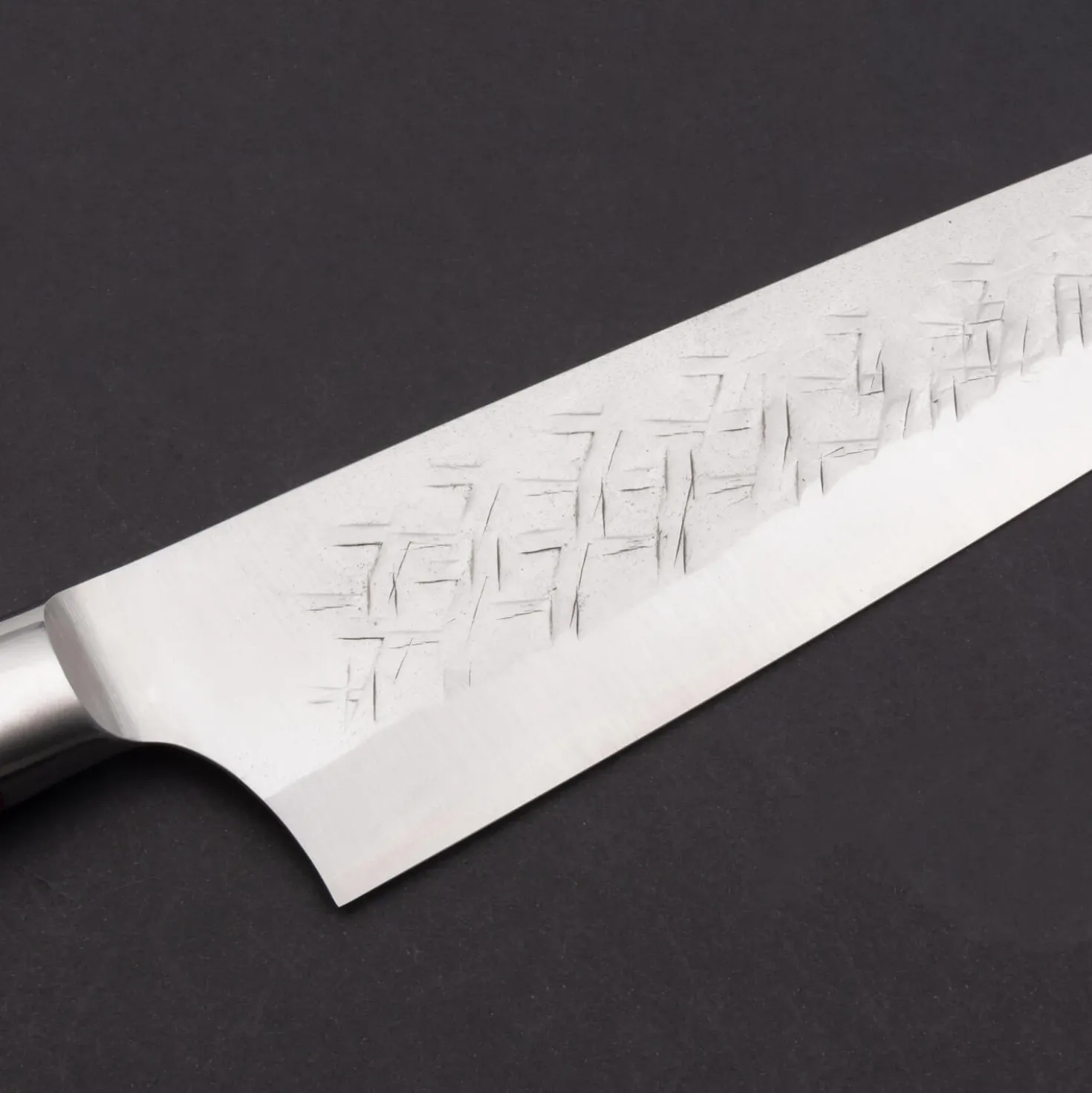 Takeshi Saji SRS13 Gyuto 24 cm