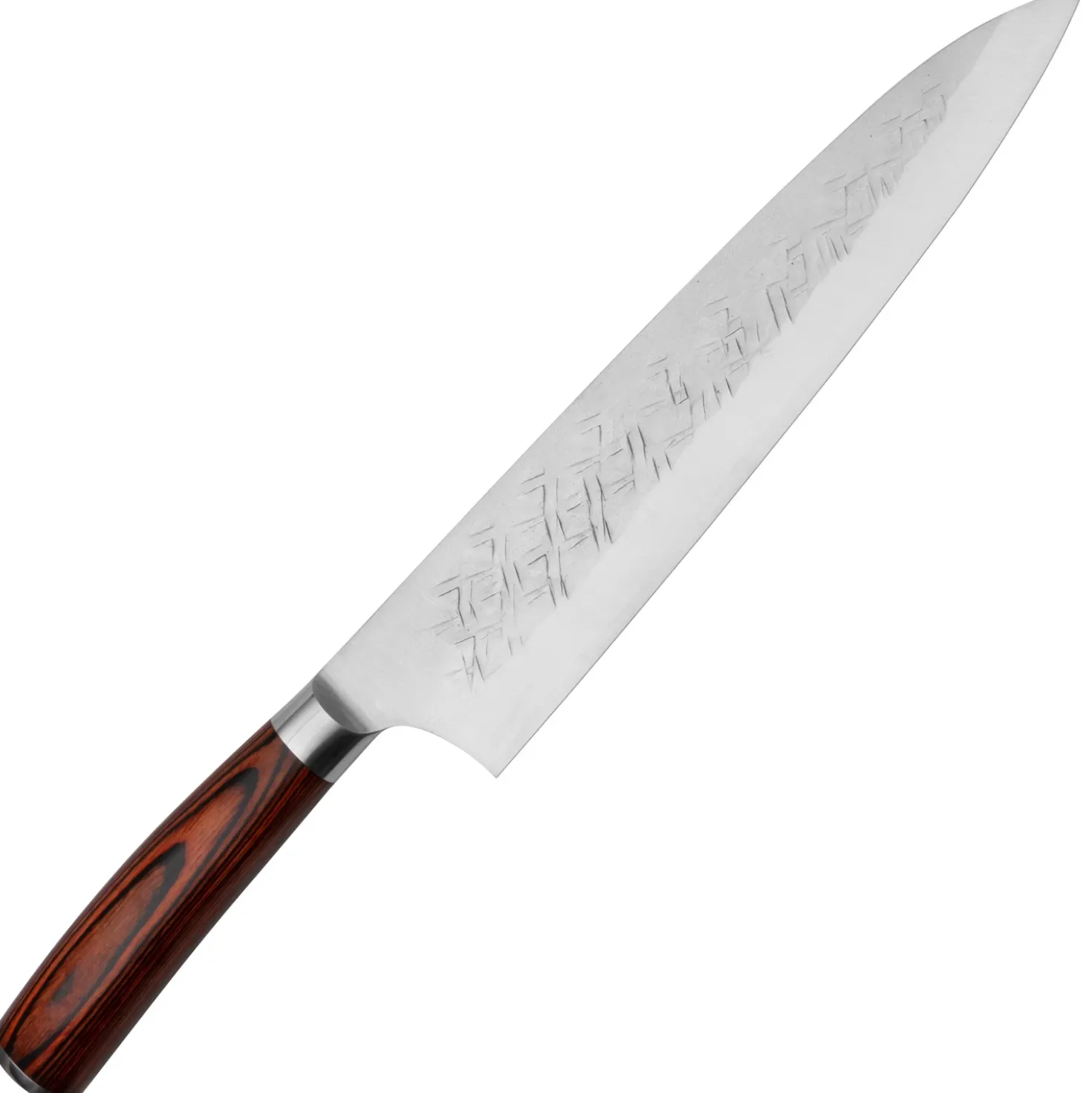 Takeshi Saji SRS13 Gyuto 24 cm