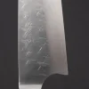Takeshi Saji SRS13 Gyuto 21 cm