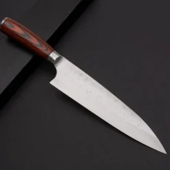 Takeshi Saji SRS13 Gyuto 21 cm