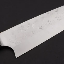 Takeshi Saji SRS13 Gyuto 21 cm