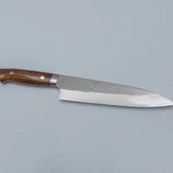 Takeshi Saji SRS13 Ironwood Gyuto 21 cm