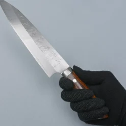 Takeshi Saji SRS13 Ironwood Gyuto 21 cm