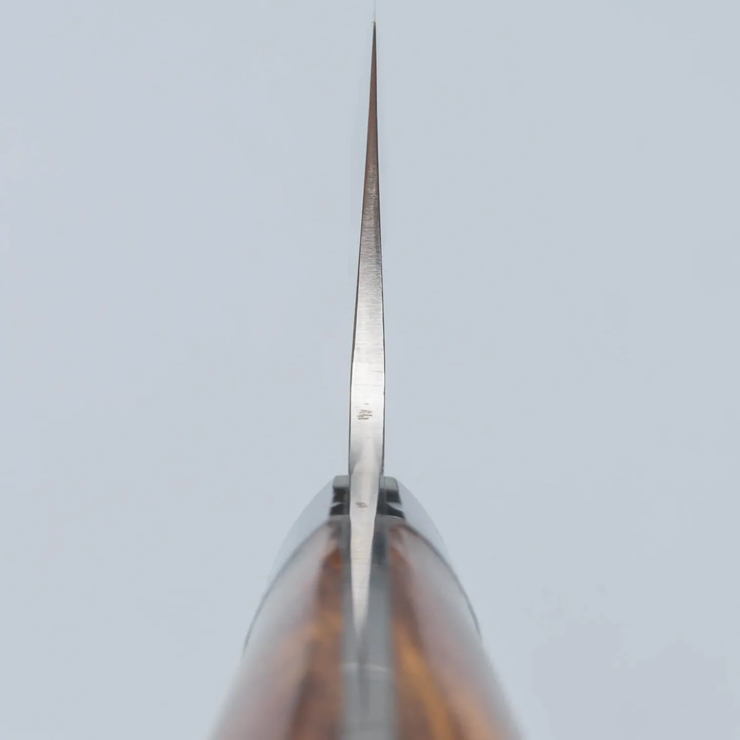 Takeshi Saji SRS13 Ironwood Gyuto 21 cm