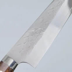 Takeshi Saji SRS13 Ironwood Gyuto 21 cm