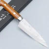 Takeshi Saji SRS13 Ironwood Petty 13 cm