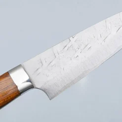 Takeshi Saji SRS13 Ironwood Petty 13 cm