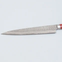 Takeshi Saji VG10 Cross Tsuchime Kurouchi Sujihiki 24 cm