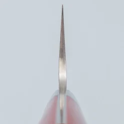 Takeshi Saji VG10 Cross Tsuchime Kurouchi Gyuto 21 cm