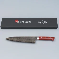 Takeshi Saji VG10 Cross Tsuchime Kurouchi Gyuto 21 cm