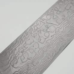 Takeshi Saji VG10 Diamond Finish Corian Gyuto 21 cm