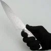Takeshi Saji VG10 Diamond Finish Corian Gyuto 18 cm