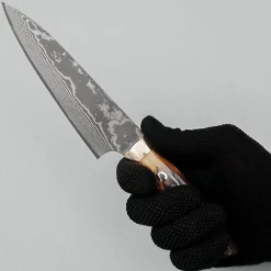 Takeshi Saji VG10 Nickel Damast Staghorn Petty 15 cm
