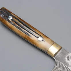 Takeshi Saji VG10 Nickel Damast Staghorn Sujihiki 27 cm
