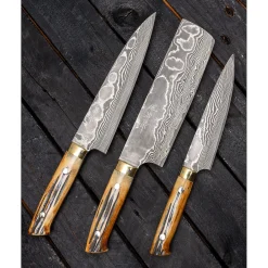 Takeshi Saji VG10 Nickel Damast Staghorn Sujihiki 27 cm