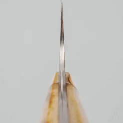 Takeshi Saji VG10 Nickel Damast Staghorn Gyuto 21 cm