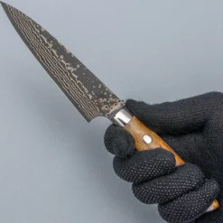 Takeshi Saji VG10 Rainbow Etched Cowhorn Petty 13 cm