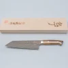 Takeshi Saji VG10 Rainbow Etched Cowhorn Bunka