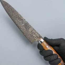 Takeshi Saji VG10 Rainbow Etched Cowhorn Gyuto 24 cm