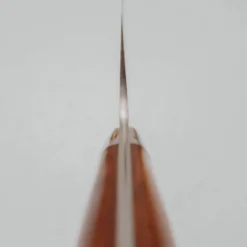Takeshi Saji VG10 Rainbow Ironwood Gyuto 24 cm