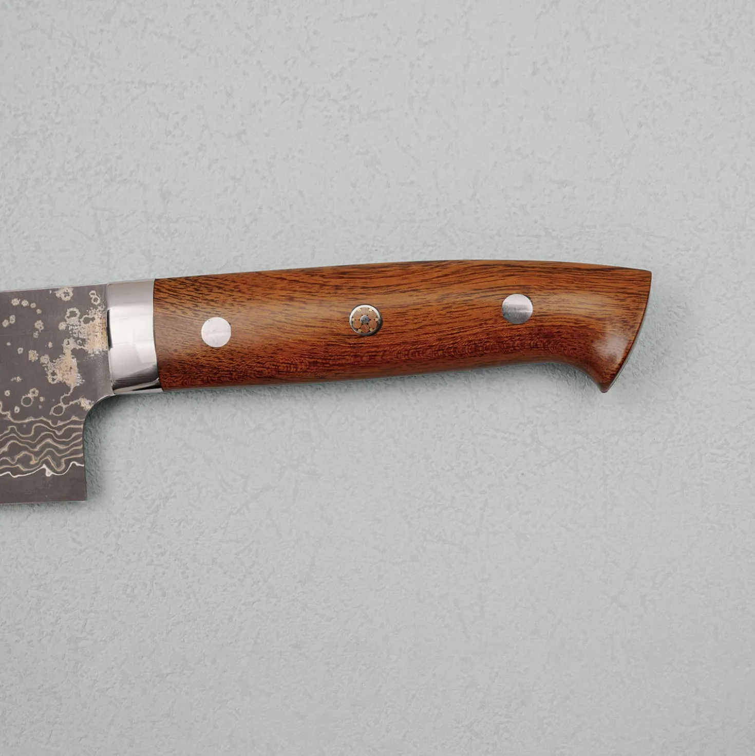 Takeshi Saji VG10 Rainbow Ironwood Gyuto 24 cm