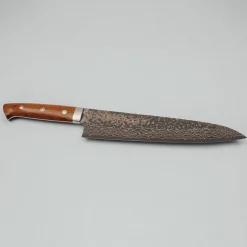 Takeshi Saji VG10 Rainbow Ironwood Gyuto 24 cm