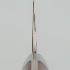 Takeshi Saji VG10 Rainbow Quince Gyuto 18 cm