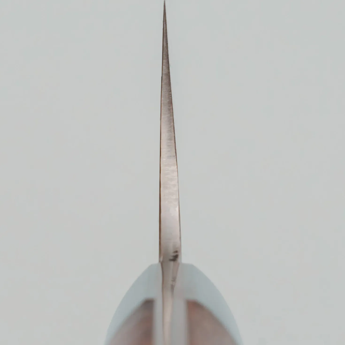 Takeshi Saji VG10 Rainbow Quince Gyuto 18 cm