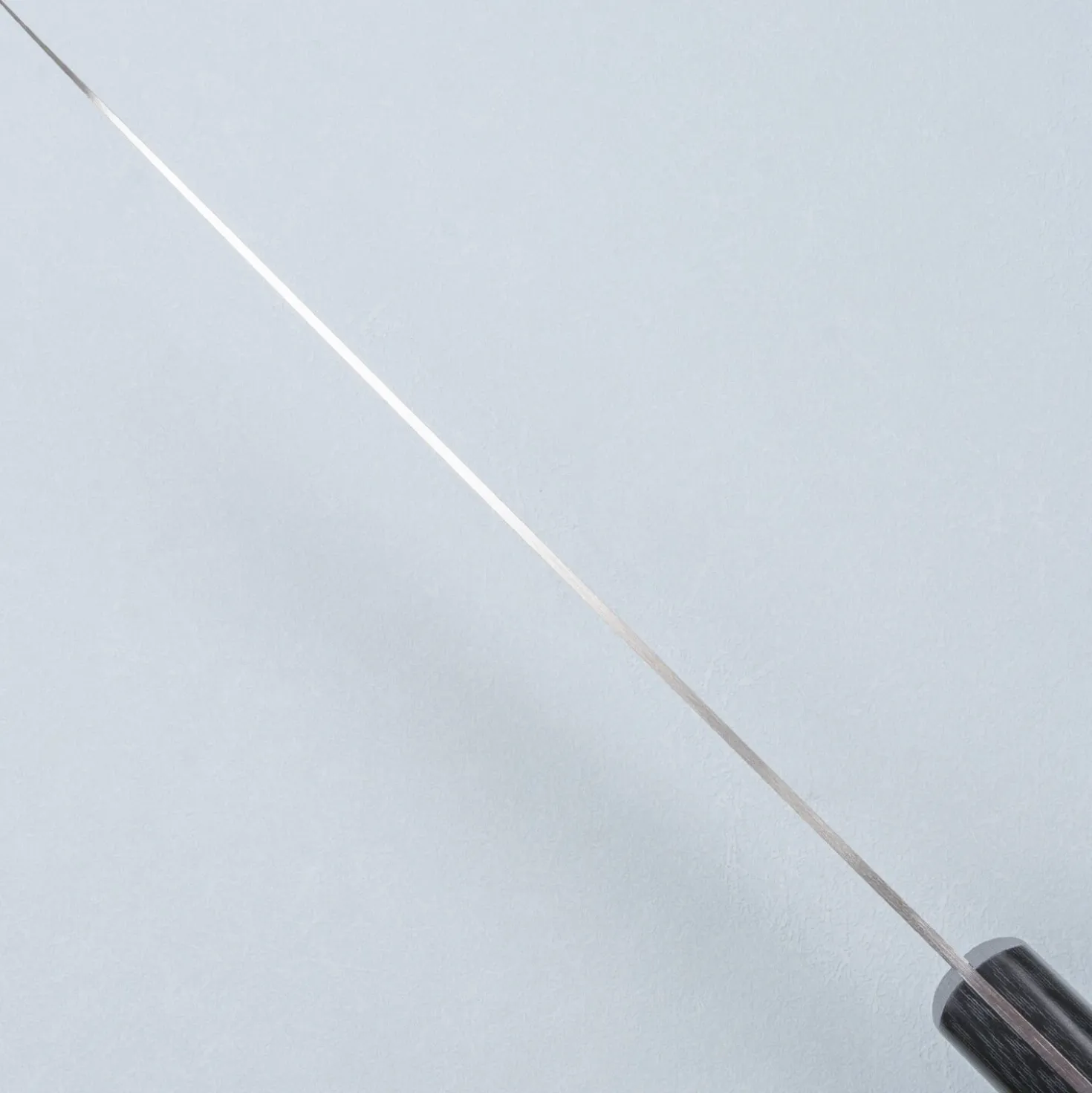 Tamahagane Sakura Gyuto 21 cm