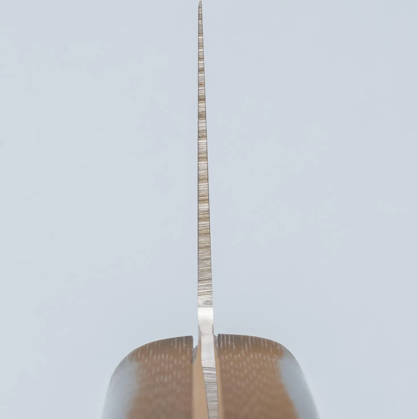 Tamahagane Sakura Gyuto 21 cm