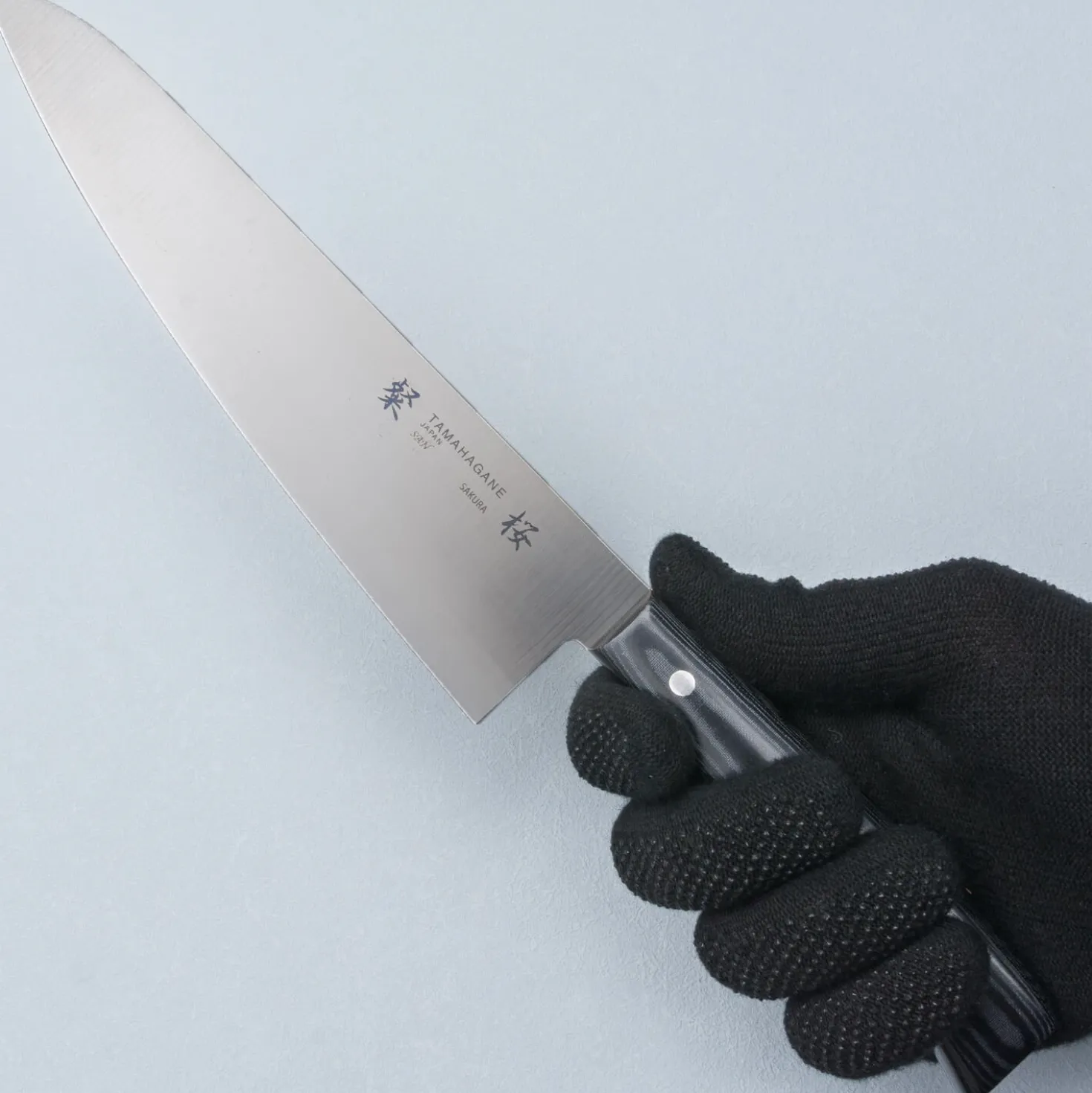 Tamahagane Sakura Gyuto 21 cm