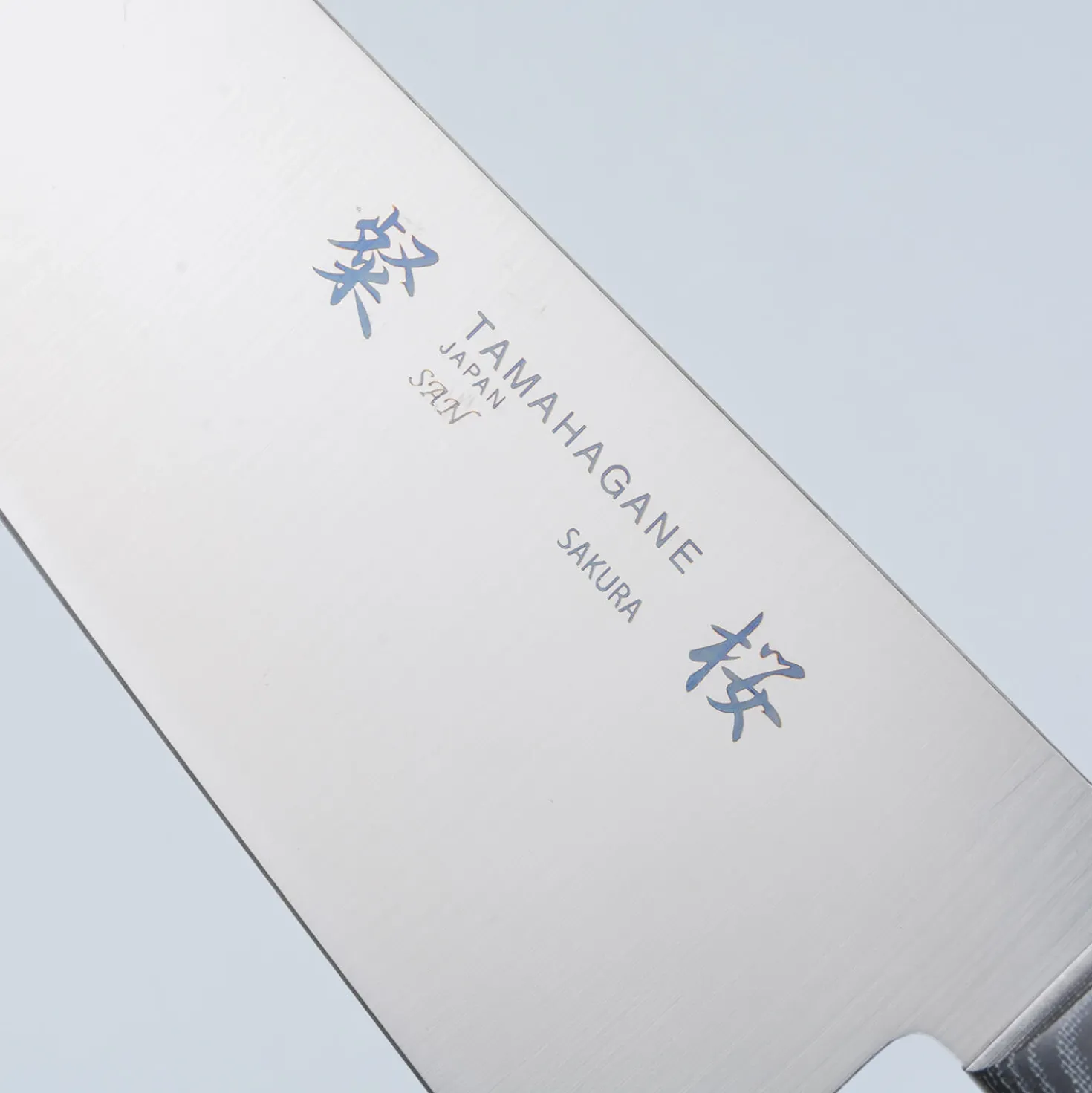 Tamahagane Sakura Gyuto 21 cm