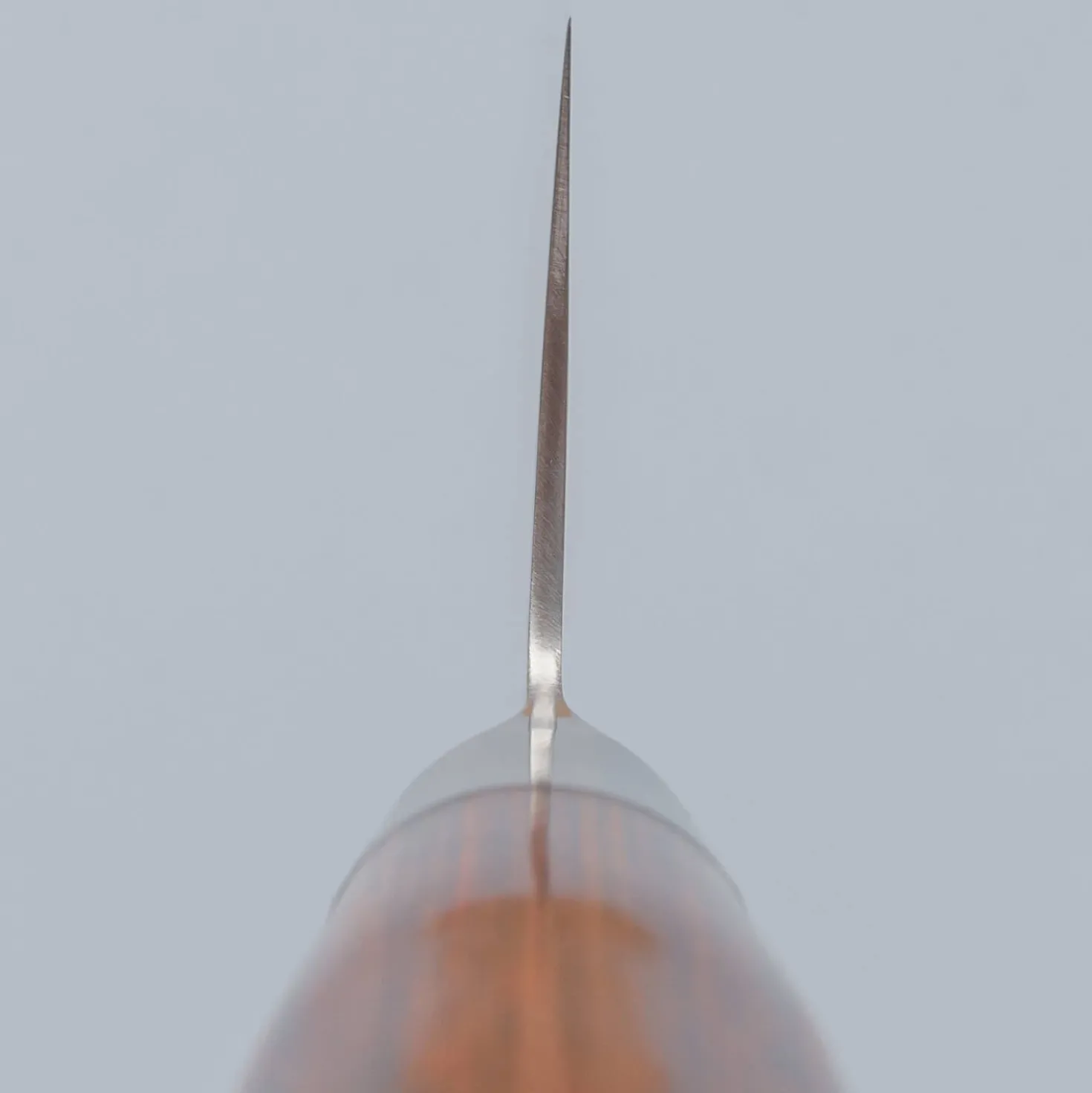 Tamahagane San Gyuto 21 cm