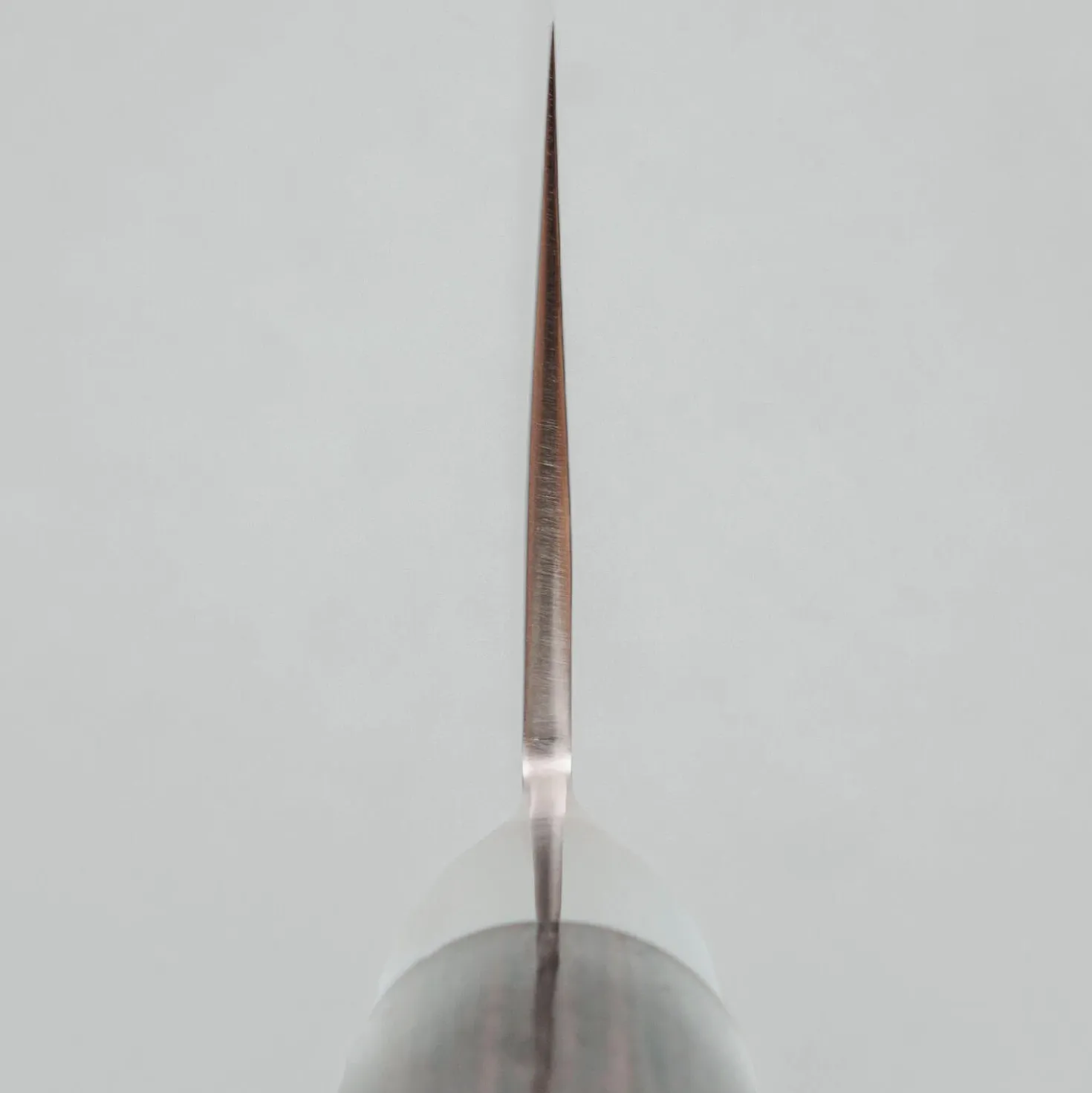 Tamahagane San Kyoto Gyuto 24 cm