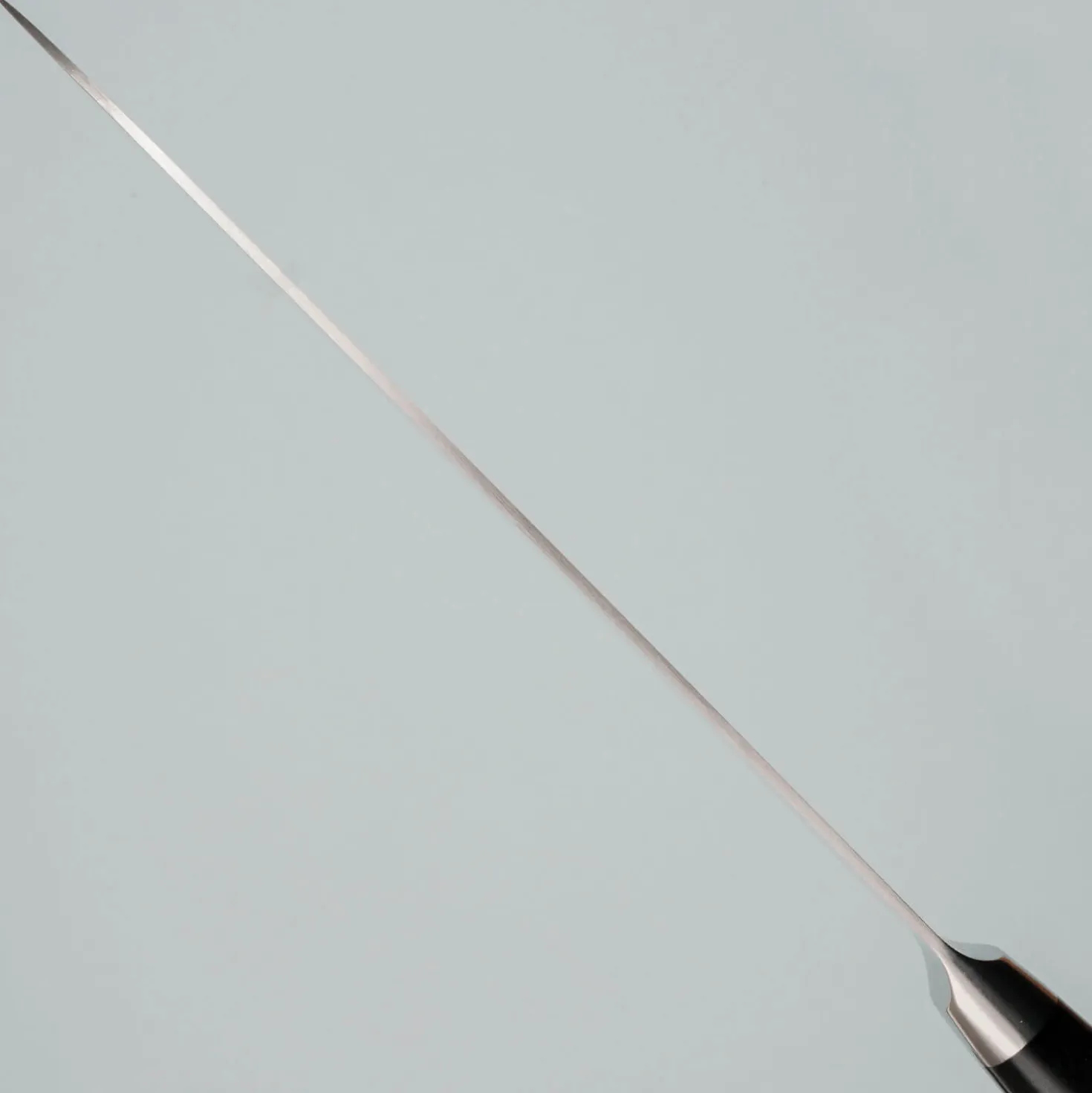 Tamahagane San Kyoto Gyuto 21 cm