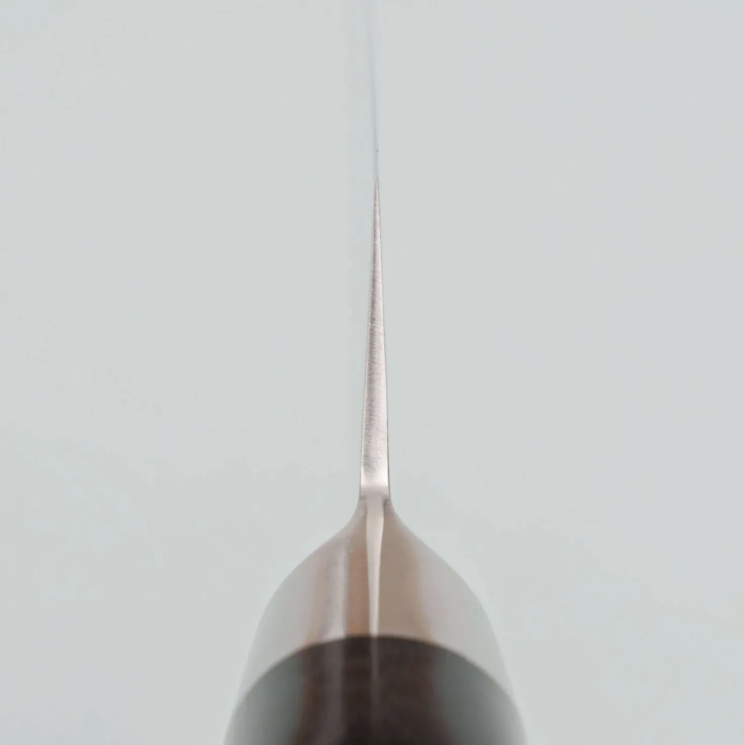 Tamahagane San Kyoto Petty 12 cm