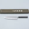 Tetsujin Hamono Aogami 2 Kasumi Gyuto 24 cm