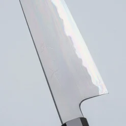 Tetsujin Hamono Aogami 2 Kasumi Gyuto 21 cm