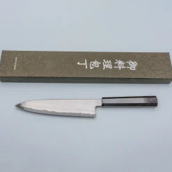 Tetsujin Hamono Aogami 2 Metal Flow Ebony Gyuto 210