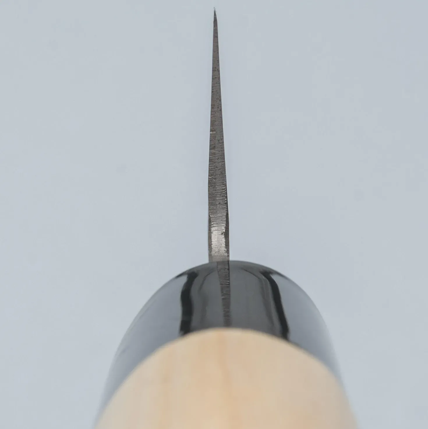 Tojiro DP3 Tsuchime Wa koksmes 24 cm