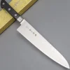 Tojiro Pro Nickel Damast Gyuto 21 cm