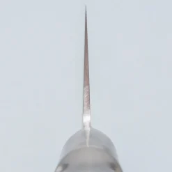 Tojiro Pro VG10 Gyuto 27 cm