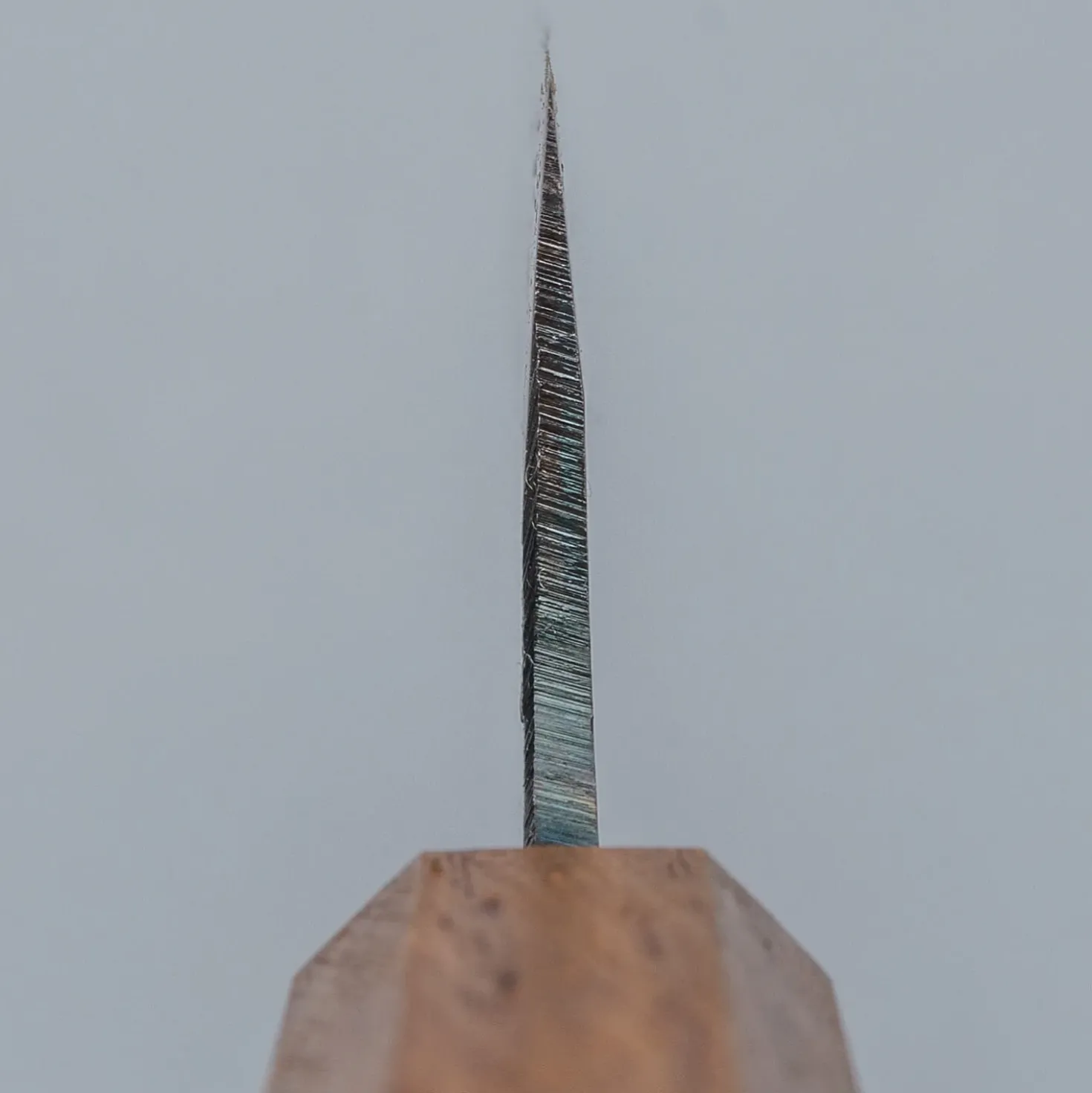 Tosa Tsukasa Shirogami Kurouchi Bunka 18 cm
