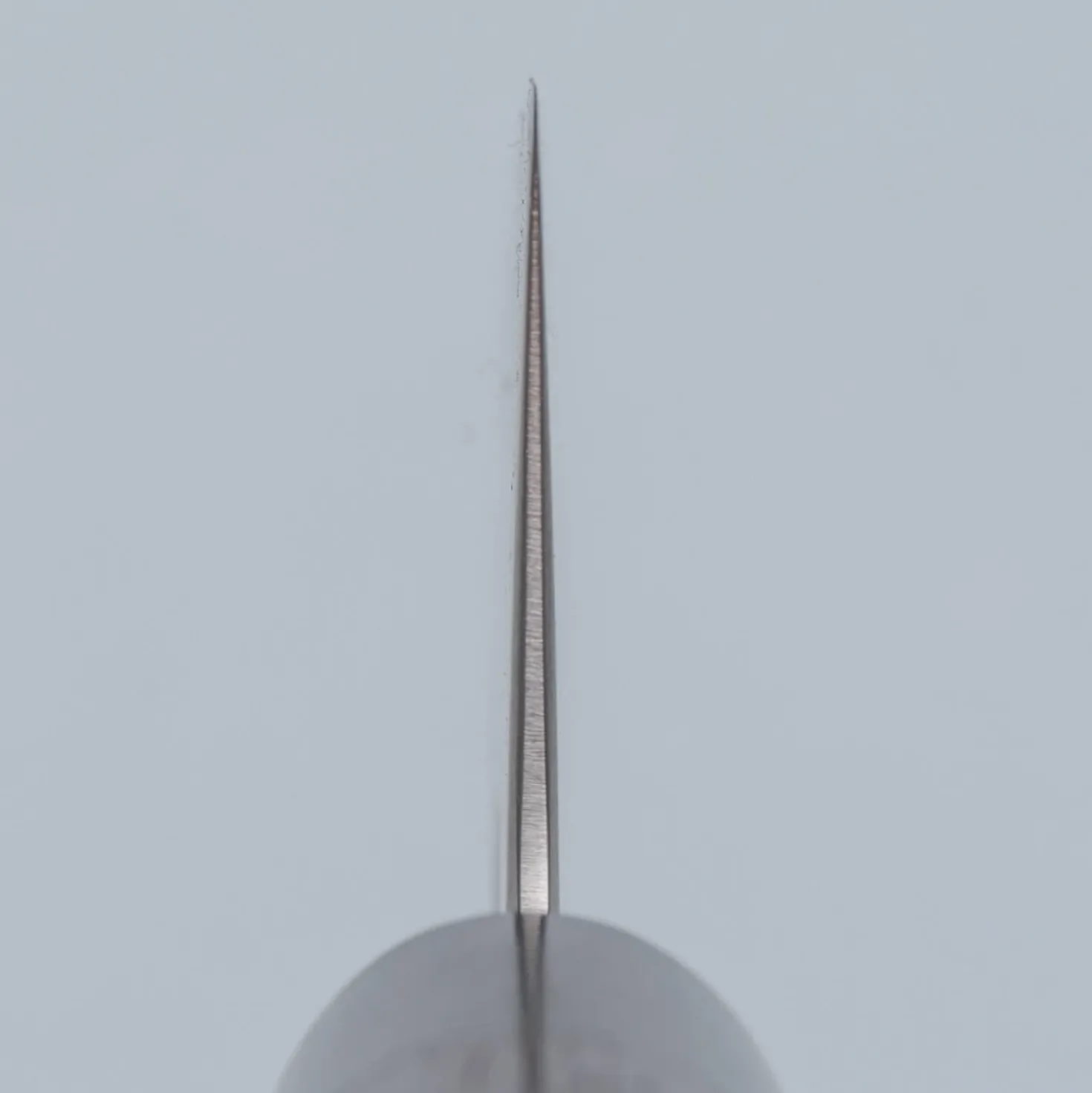 Tsunehisa Aogami Super Migaki Gyuto 21 cm