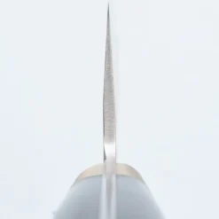 Tsunehisa Aogami Super Nashiji Kurouchi Western Black Kiritsuke 21 cm