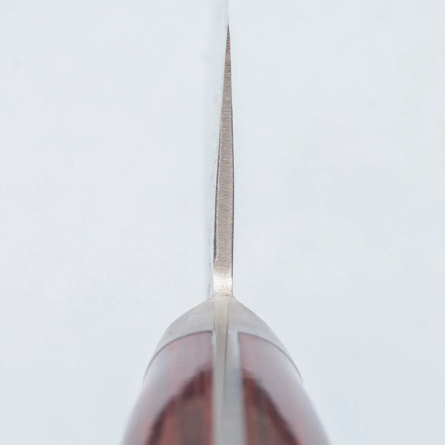 Tsunehisa Aogami Super Tsuchime Migaki Western Red Gyuto 21 cm