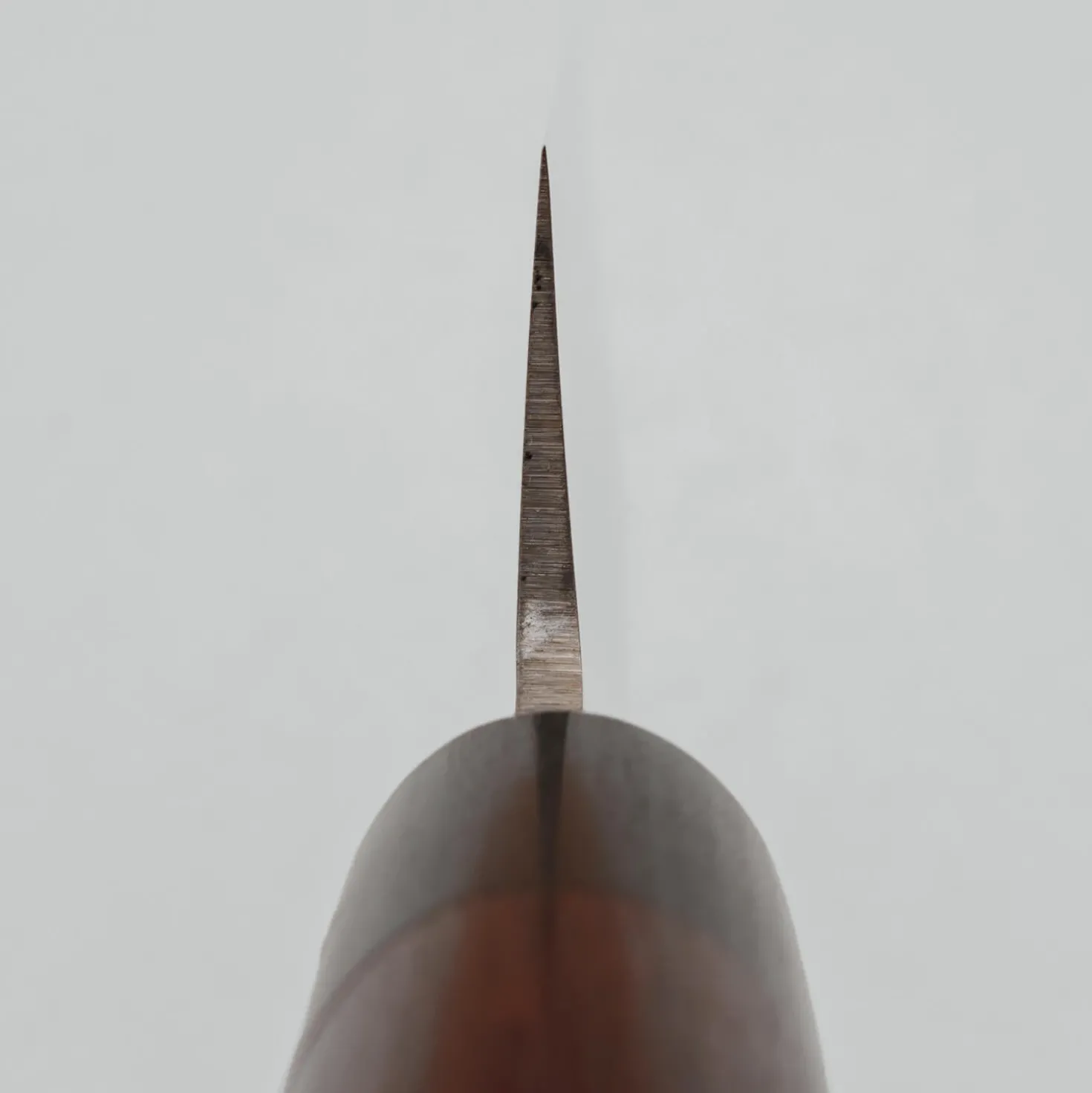 Tsunehisa AUS8 Rosewood Usuba 16.5