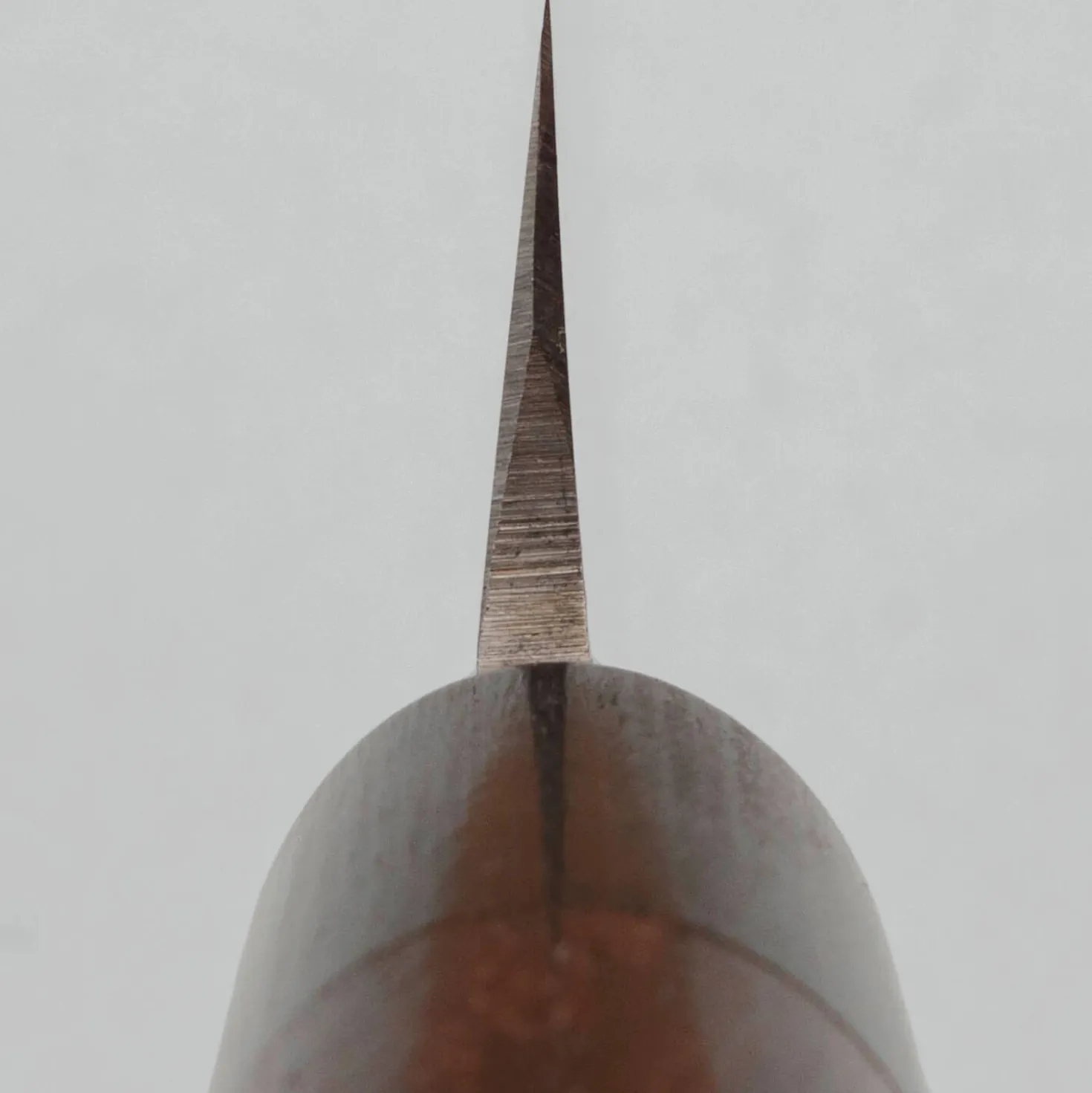 Tsunehisa AUS8 Rosewood Yanagiba 30 cm